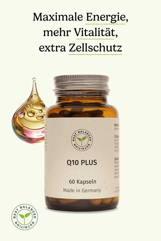 Q10 Plus