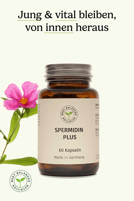 Spermidine Plus