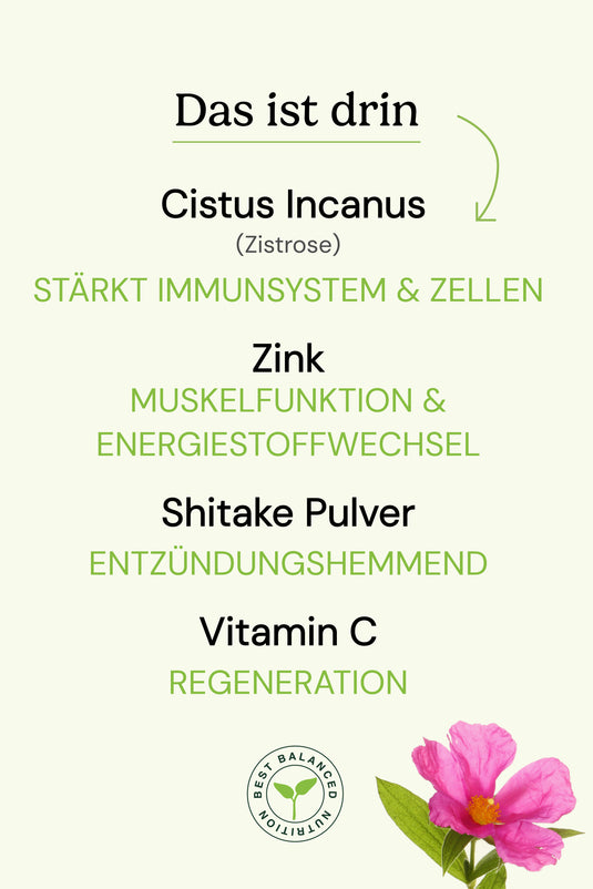 Spermidine Plus